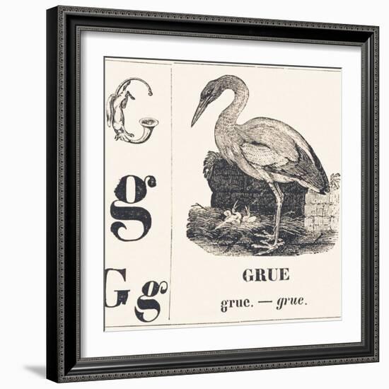 G for Crane, 1850 (Engraving)-Louis Simon (1810-1870) Lassalle-Framed Giclee Print