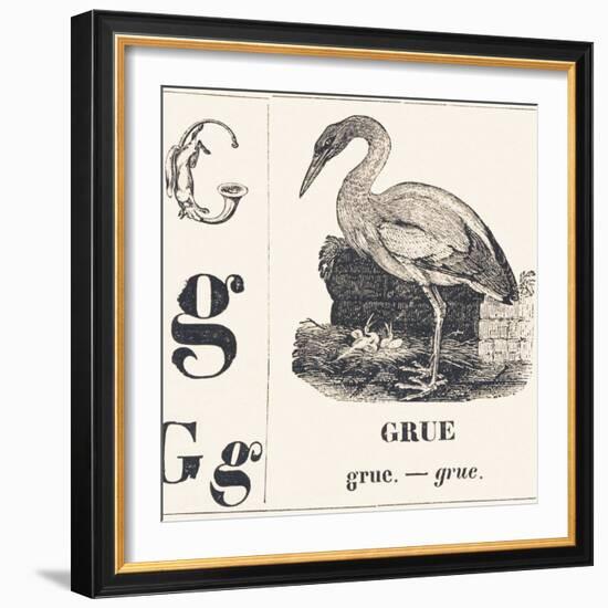 G for Crane, 1850 (Engraving)-Louis Simon (1810-1870) Lassalle-Framed Giclee Print