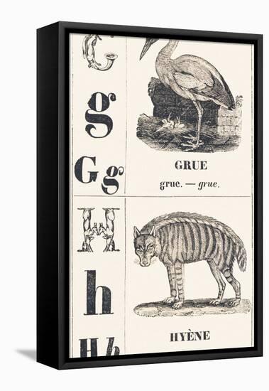 G H: Crane - Hyena, 1850 (Engraving)-Louis Simon (1810-1870) Lassalle-Framed Premier Image Canvas