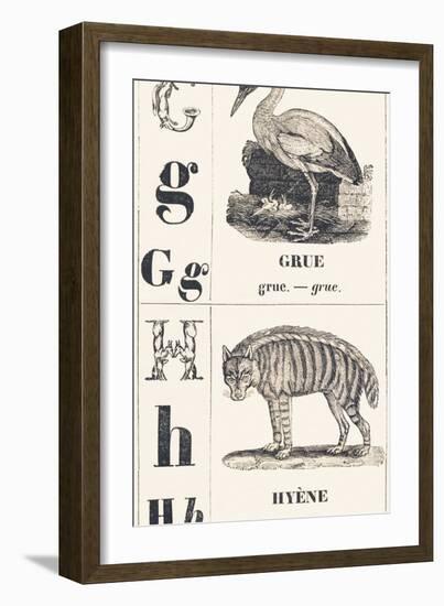 G H: Crane - Hyena, 1850 (Engraving)-Louis Simon (1810-1870) Lassalle-Framed Giclee Print
