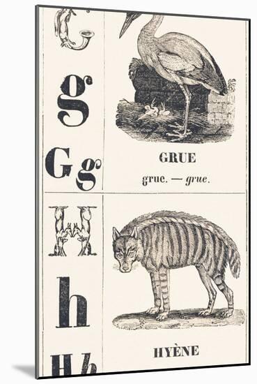 G H: Crane - Hyena, 1850 (Engraving)-Louis Simon (1810-1870) Lassalle-Mounted Giclee Print