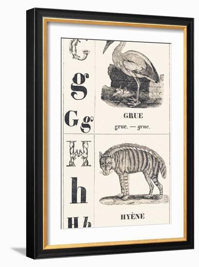 G H: Crane - Hyena, 1850 (Engraving)-Louis Simon (1810-1870) Lassalle-Framed Giclee Print