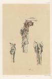 The Head and Neck. Internal Carotid and Ascending Pharyngeal Arteries, and Cranial Nerves in the…-G. H. Ford-Giclee Print