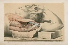 The Upper Limb. Superficial and Deep Views of the Palm of the Hand-G. H. Ford-Framed Premier Image Canvas