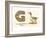 G is a Goose-null-Framed Premium Giclee Print