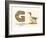 G is a Goose-null-Framed Premium Giclee Print