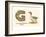 G is a Goose-null-Framed Premium Giclee Print