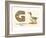 G is a Goose-null-Framed Art Print