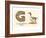 G is a Goose-null-Framed Art Print