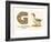 G is a Goose-null-Framed Art Print