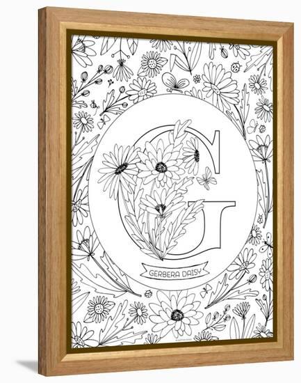 G is for Gerbera Daisy-Heather Rosas-Framed Stretched Canvas