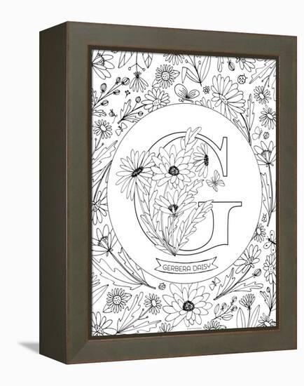 G is for Gerbera Daisy-Heather Rosas-Framed Stretched Canvas