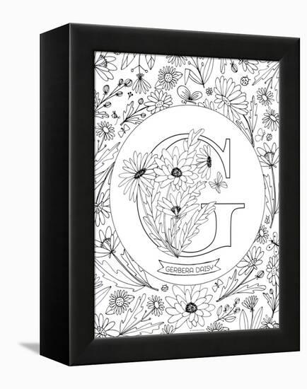 G is for Gerbera Daisy-Heather Rosas-Framed Stretched Canvas