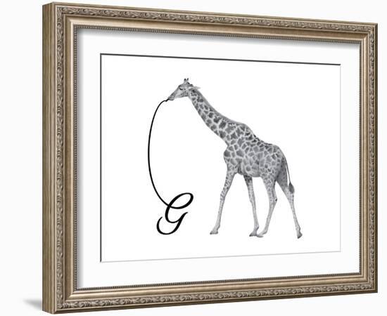 G is for Giraffe-Stacy Hsu-Framed Art Print