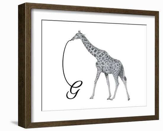 G is for Giraffe-Stacy Hsu-Framed Art Print