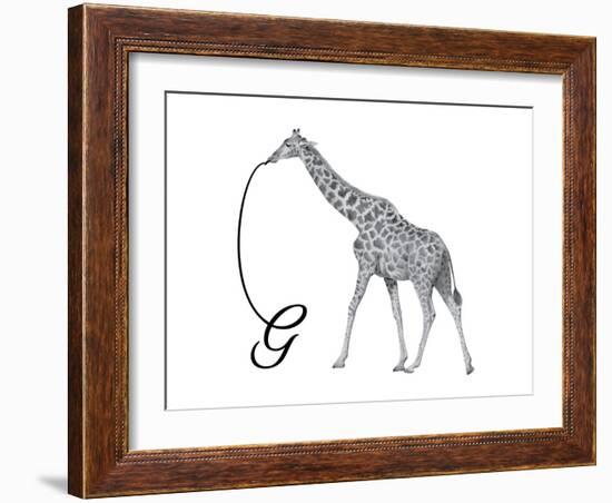 G is for Giraffe-Stacy Hsu-Framed Art Print