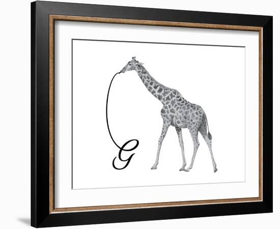 G is for Giraffe-Stacy Hsu-Framed Art Print