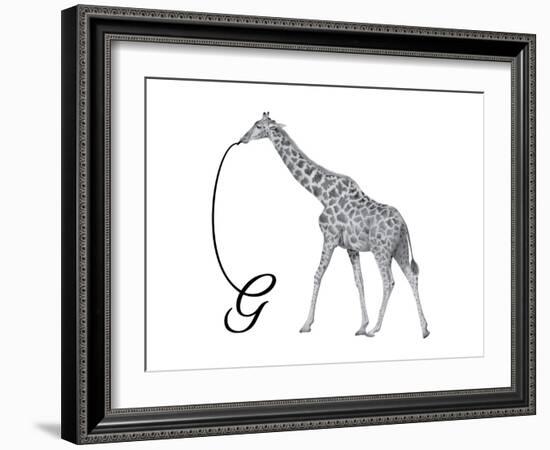 G is for Giraffe-Stacy Hsu-Framed Art Print