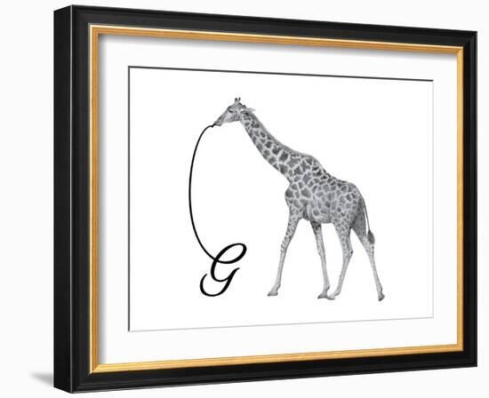 G is for Giraffe-Stacy Hsu-Framed Art Print