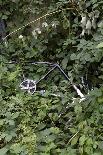 Stripped and Dumped Bicycle, London-G. Jackson-Photo