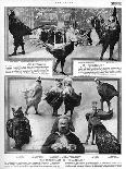 Scenes from the Play Chantecler by Rostand, 1910-G. Larcher-Premium Giclee Print