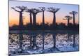 Photographic Print
