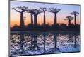 Photographic Print