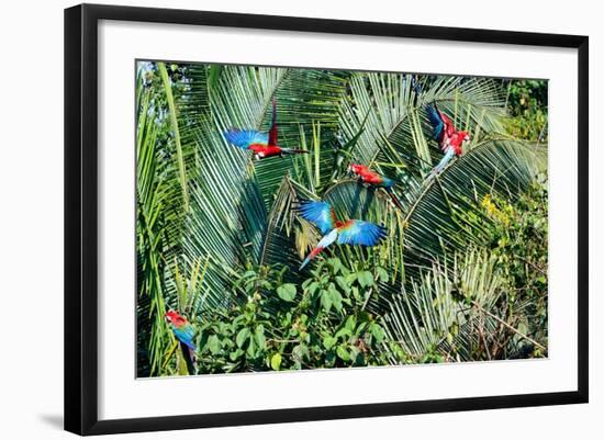 Photographic Print, , large