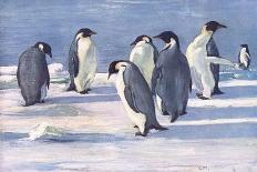 Return of the Penguins-G Marston-Premium Giclee Print