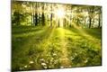 Photographic Print