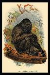 The Gorilla-G.r. Waterhouse-Art Print