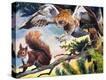 Stretched Canvas Print