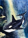 Killer Whale-G. W Backhouse-Giclee Print