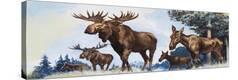 Stretched Canvas Print