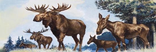 Giclee Print, , large