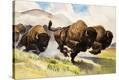 Stretched Canvas Print