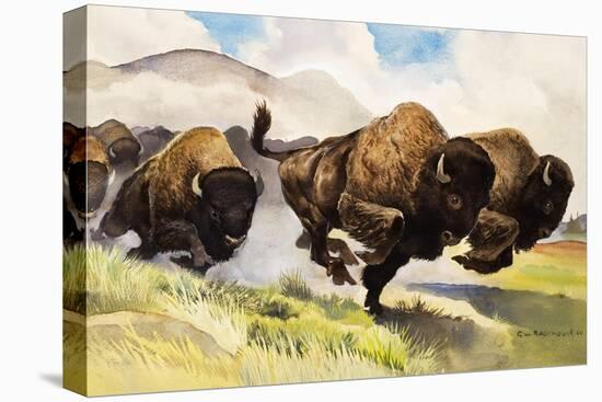 Stretched Canvas Print, , large