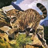 Cheetah Running-G. W Backhouse-Framed Giclee Print