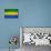 Gabon Flag Design with Wood Patterning - Flags of the World Series-Philippe Hugonnard-Premium Giclee Print displayed on a wall