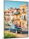 Photographic Print
