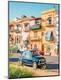 Photographic Print