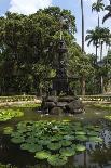 Fountain of the Muses, Rio De Janeiro Botanical Gardens, Rio De Janeiro, Brazil, South America-Gabrielle and Michael Therin-Weise-Photographic Print