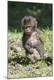 Premium Photographic Print