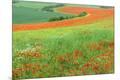 Premium Photographic Print