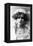 Gabrielle Ray (1883-197), English Actress, 1900s-W&d Downey-Framed Premier Image Canvas