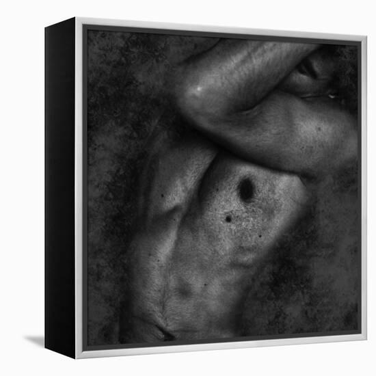 Gabspan-Fabio Panichi-Framed Premier Image Canvas