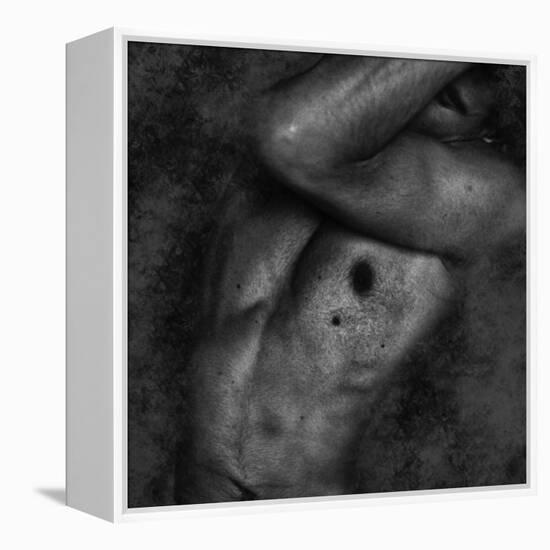 Gabspan-Fabio Panichi-Framed Premier Image Canvas