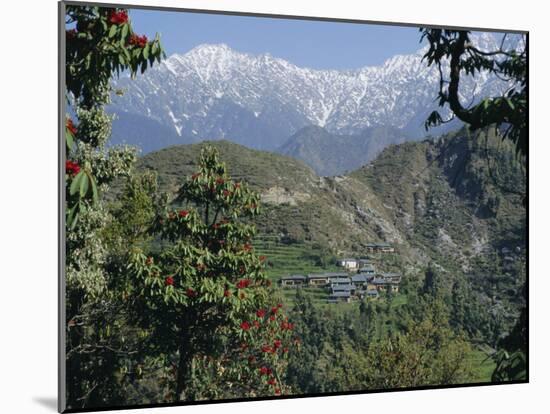 Gaddi Village, Dhaula Dhar Range, Western Himalayas, India, Asia-David Poole-Mounted Photographic Print