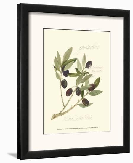 Gaeta Olives-Elissa Della-piana-Framed Art Print