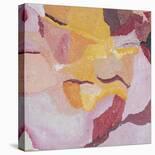 Blossom Mountain-Gaetan Caron-Stretched Canvas